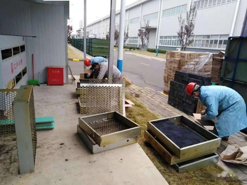 塑料四厂开展环保设施保养活动 夯实绿色制造根基